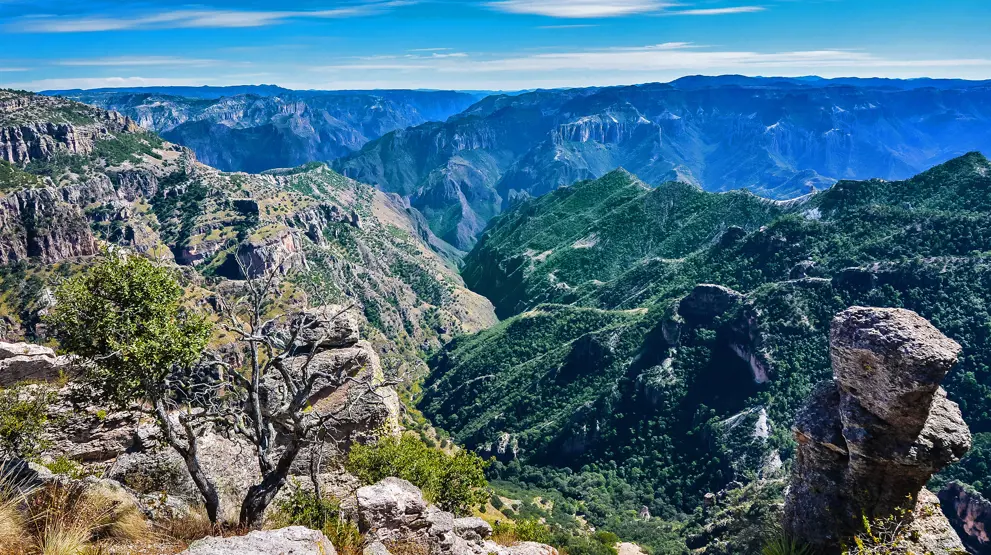 Sierra Madre Occidental byder på nogle af Mexicos smukkeste udsigter