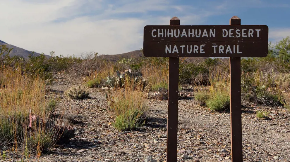 Vandresti i ørkenen Chihuahuan - Big Bend National Park