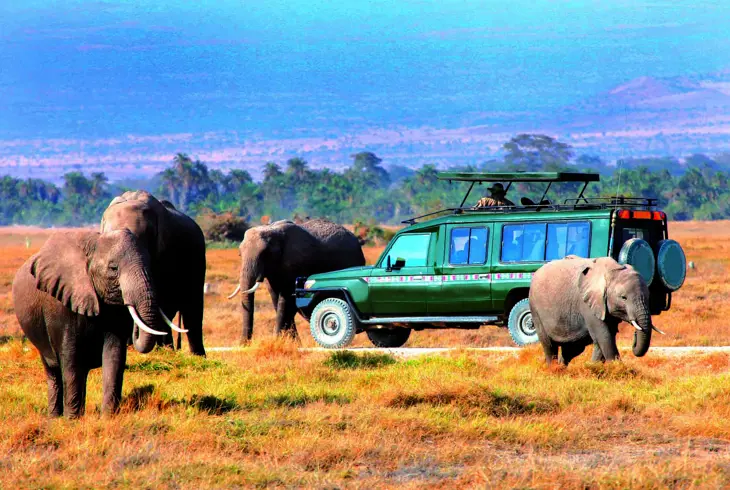 På safari i Masai Mara