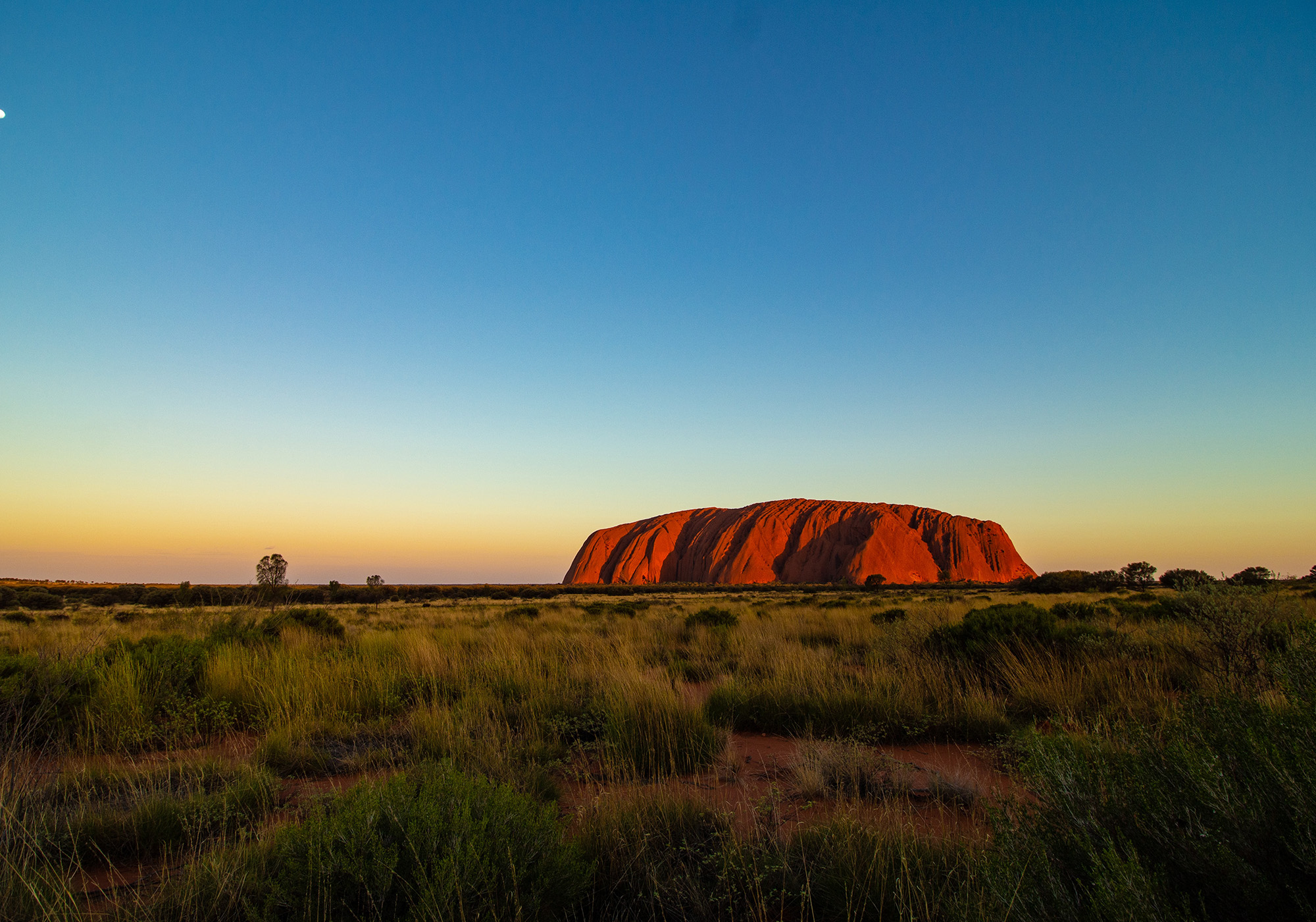 Uluru (også kaldet Ayers Rock) i det centrale Australien