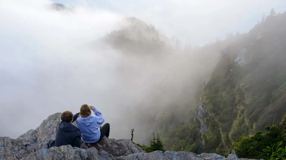 "Udsigt" fra Mt. LeConte - Great Smoky Mountains National Park