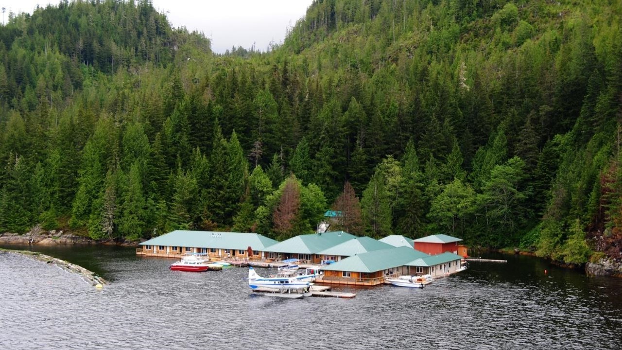 Bo midt i naturen på Knight Inlet Lodge i British Columbia, Canada