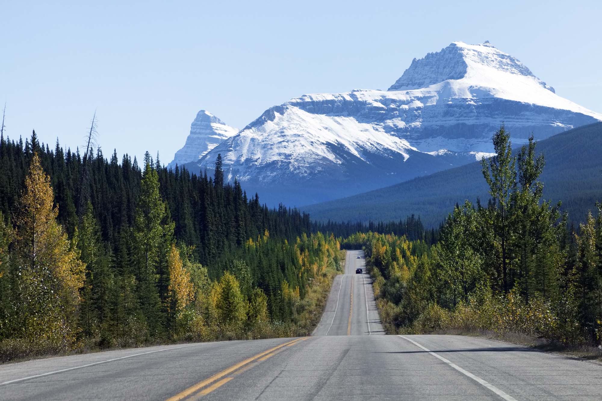 Køreturen på Icefield Parkway mellem nationalparkerne Banff og Jasper er en oplevelse i sig selv.