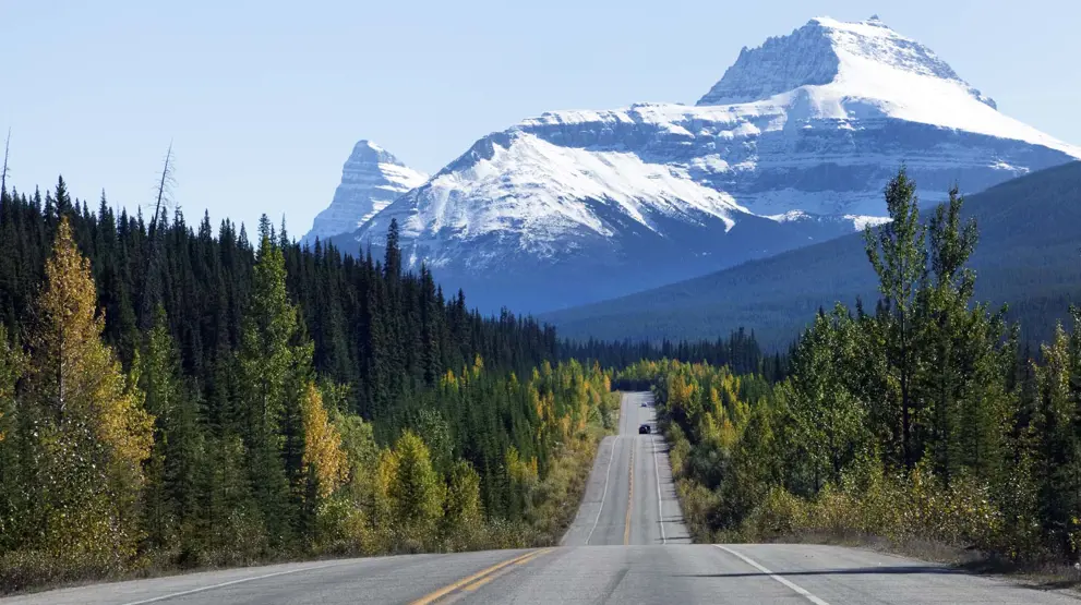 Køreturen på Icefield Parkway mellem nationalparkerne Banff og Jasper er en oplevelse i sig selv.