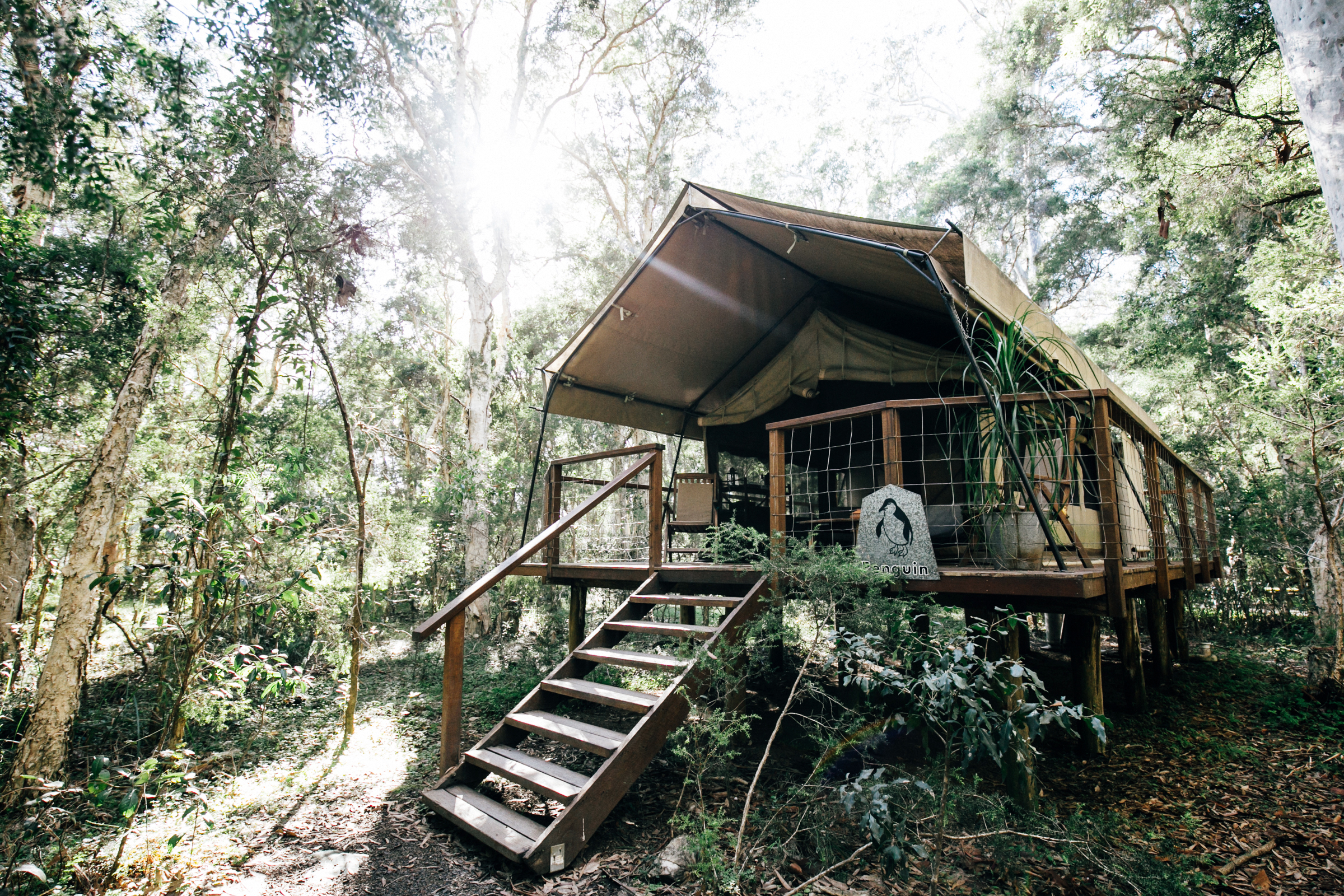 Standardtelt | Paperbark Camp