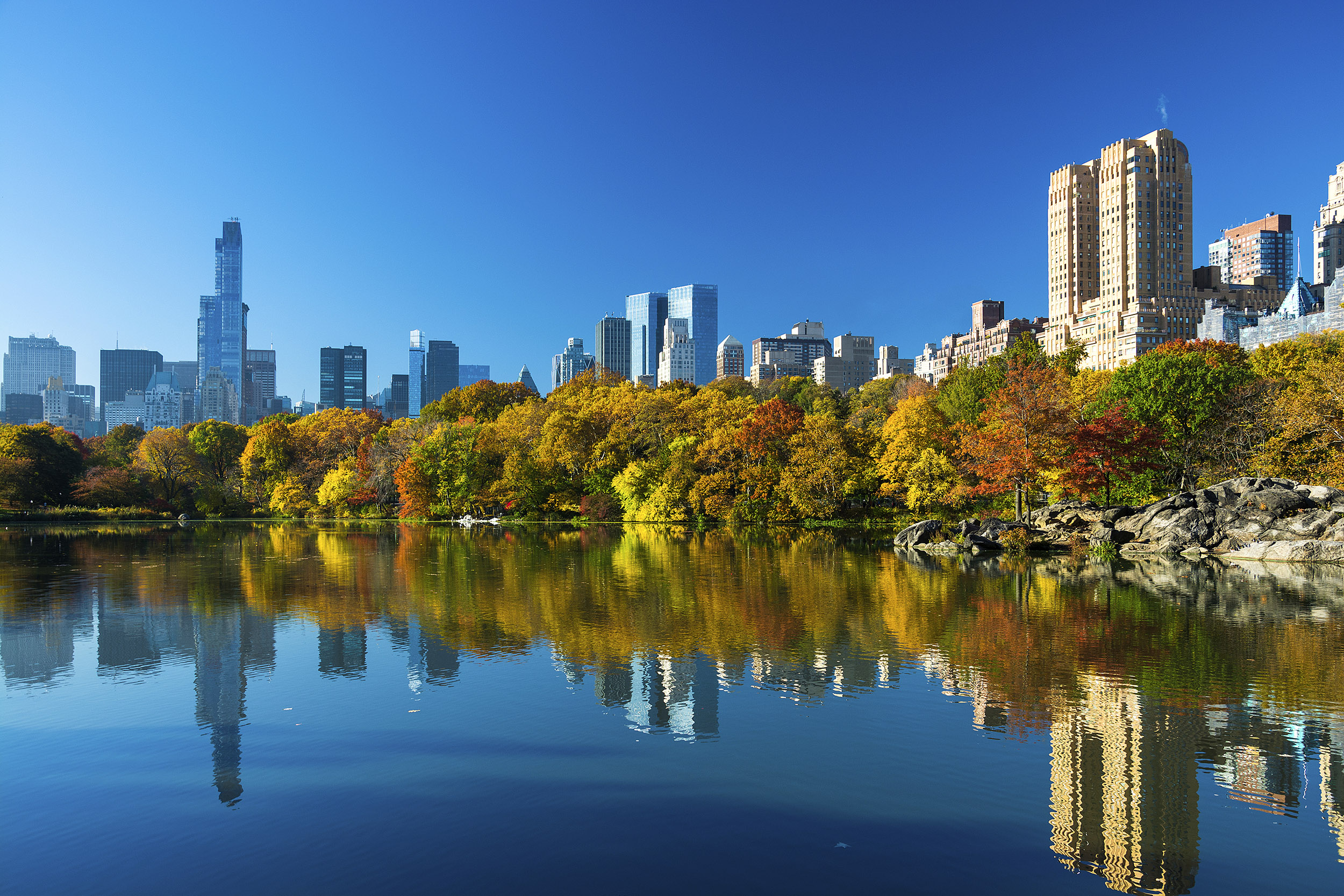 Central Park i New York