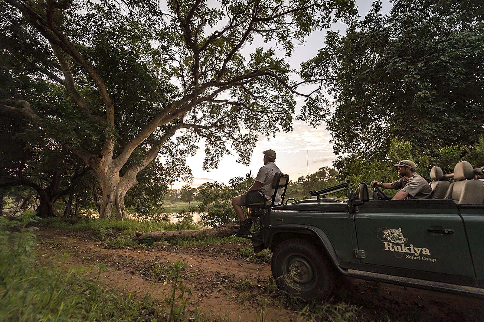 Game Drive i Balule Nature Reserve