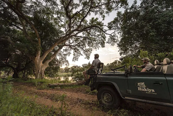 Game Drive i Balule Nature Reserve