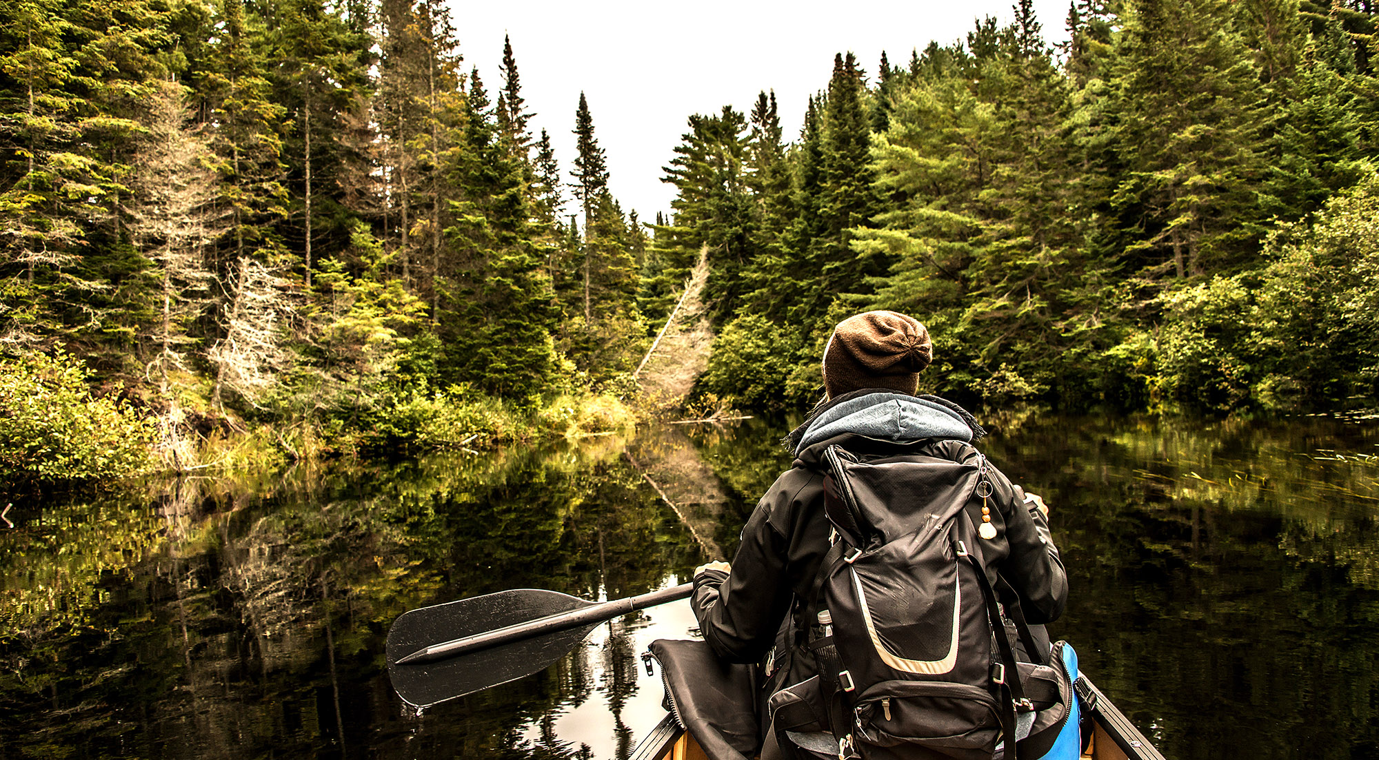 Sejl i kano og udforsk smukke Algonquin Provincial Park | Østlige Canada