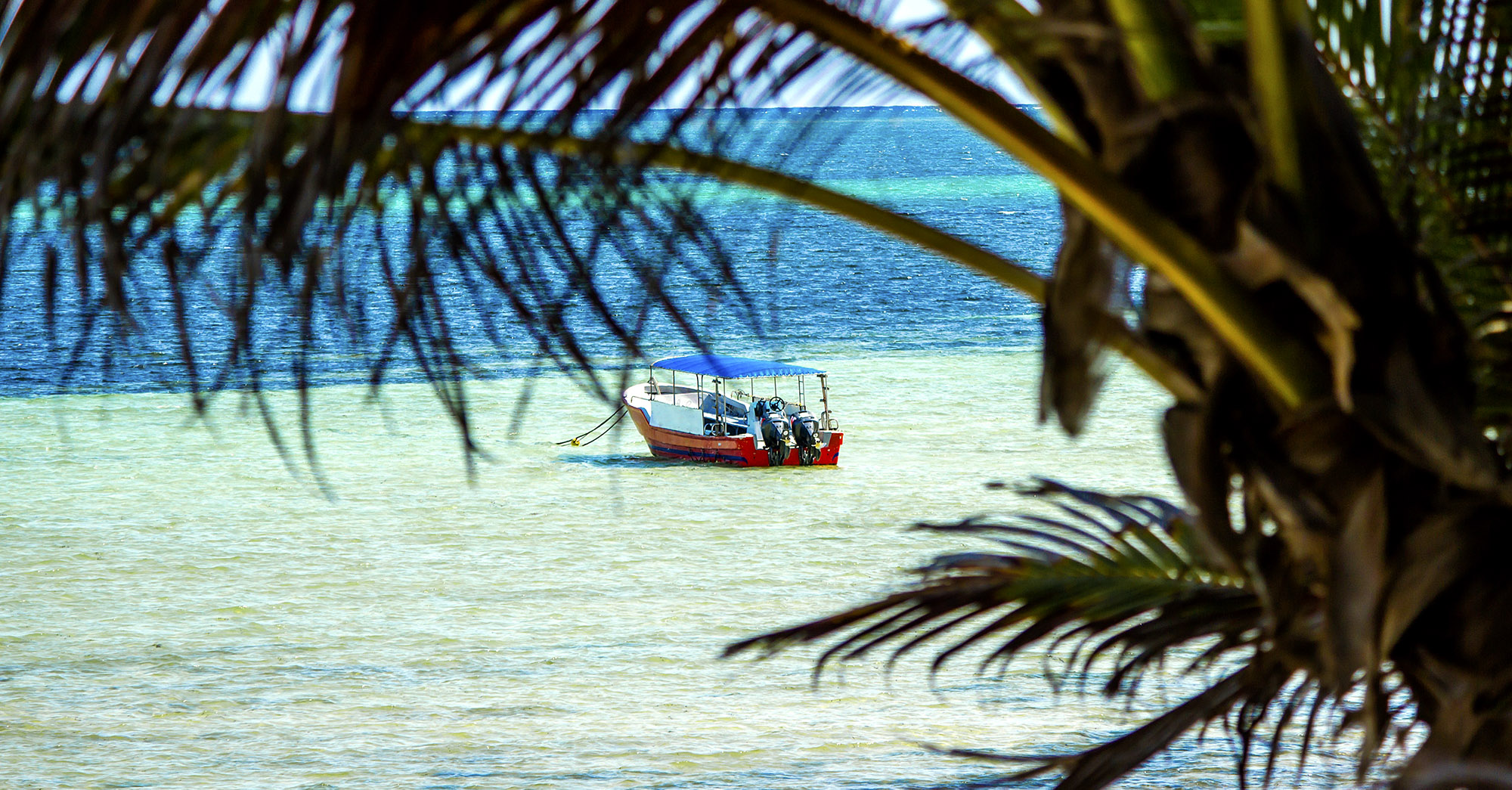 Badeferie ved Kenya kysten