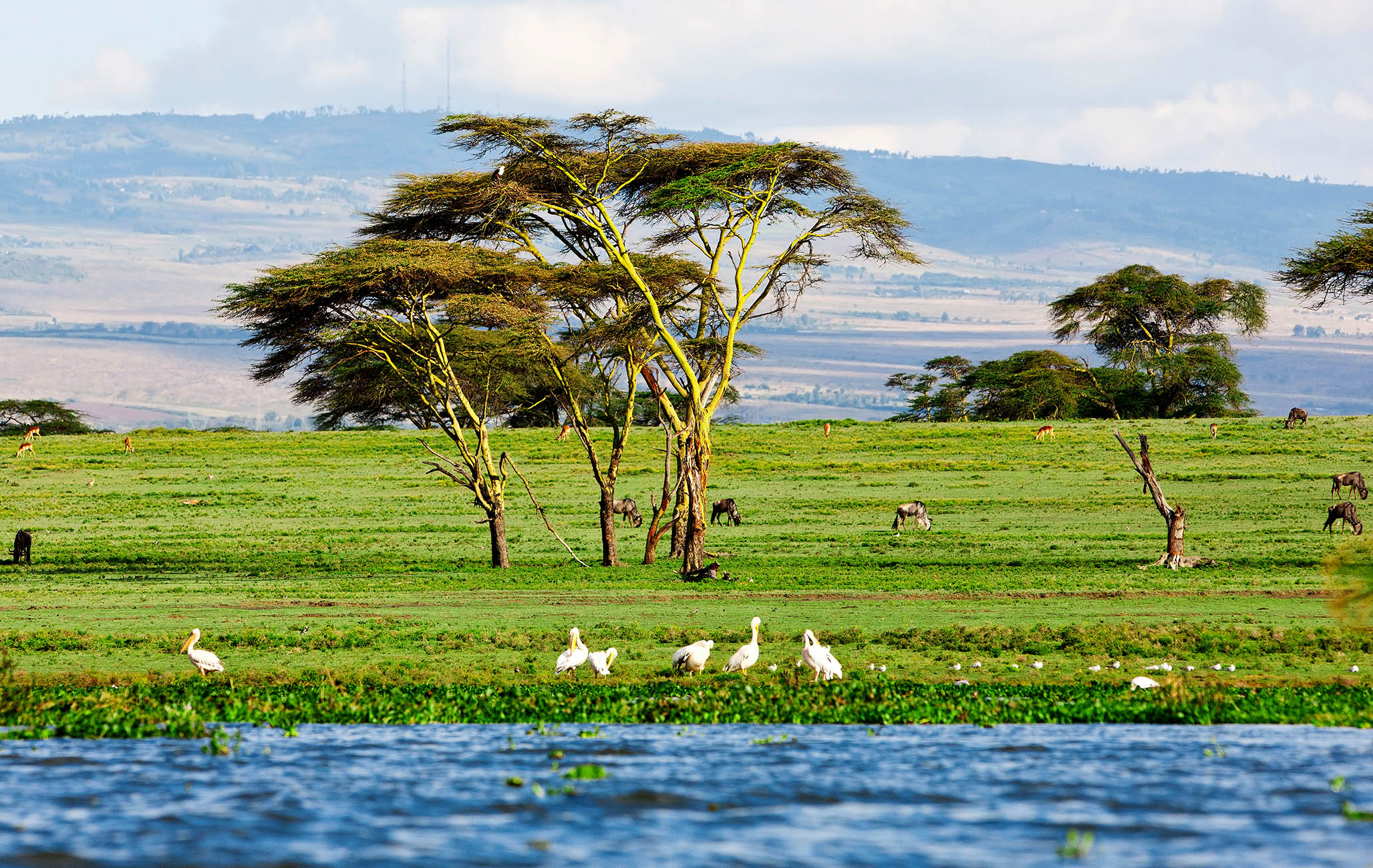 Naturskønne Lake Naivasha