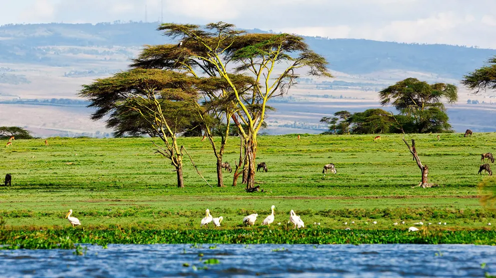Naturskønne Lake Naivasha