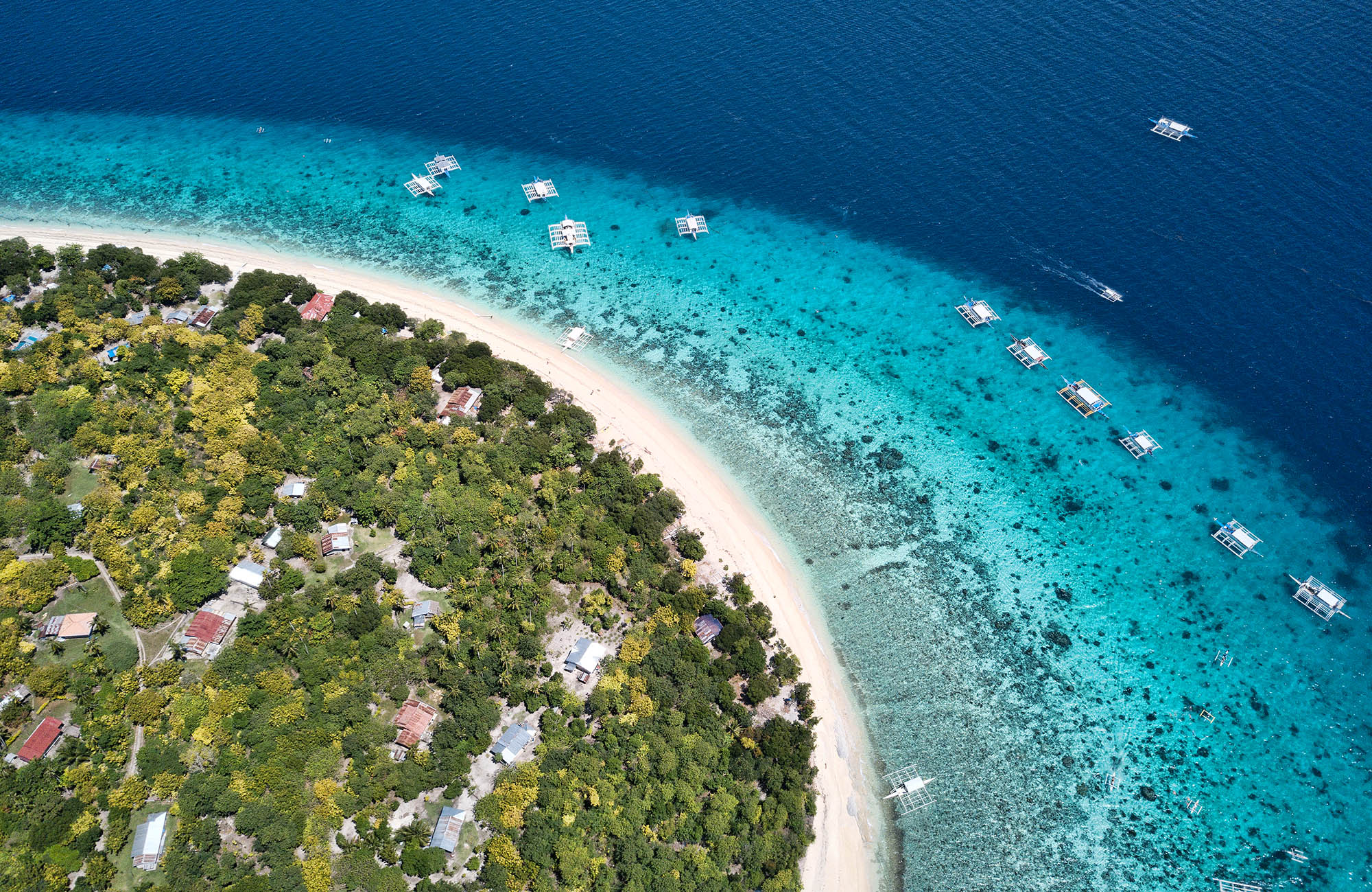 Balicasag med det krystalklare vand