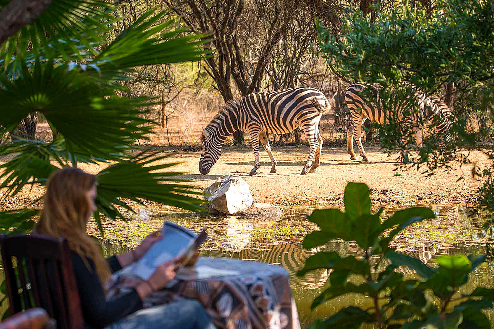 På din rejse til Sydafrika kan du komme helt tæt på dyrene fra din safari lodge.