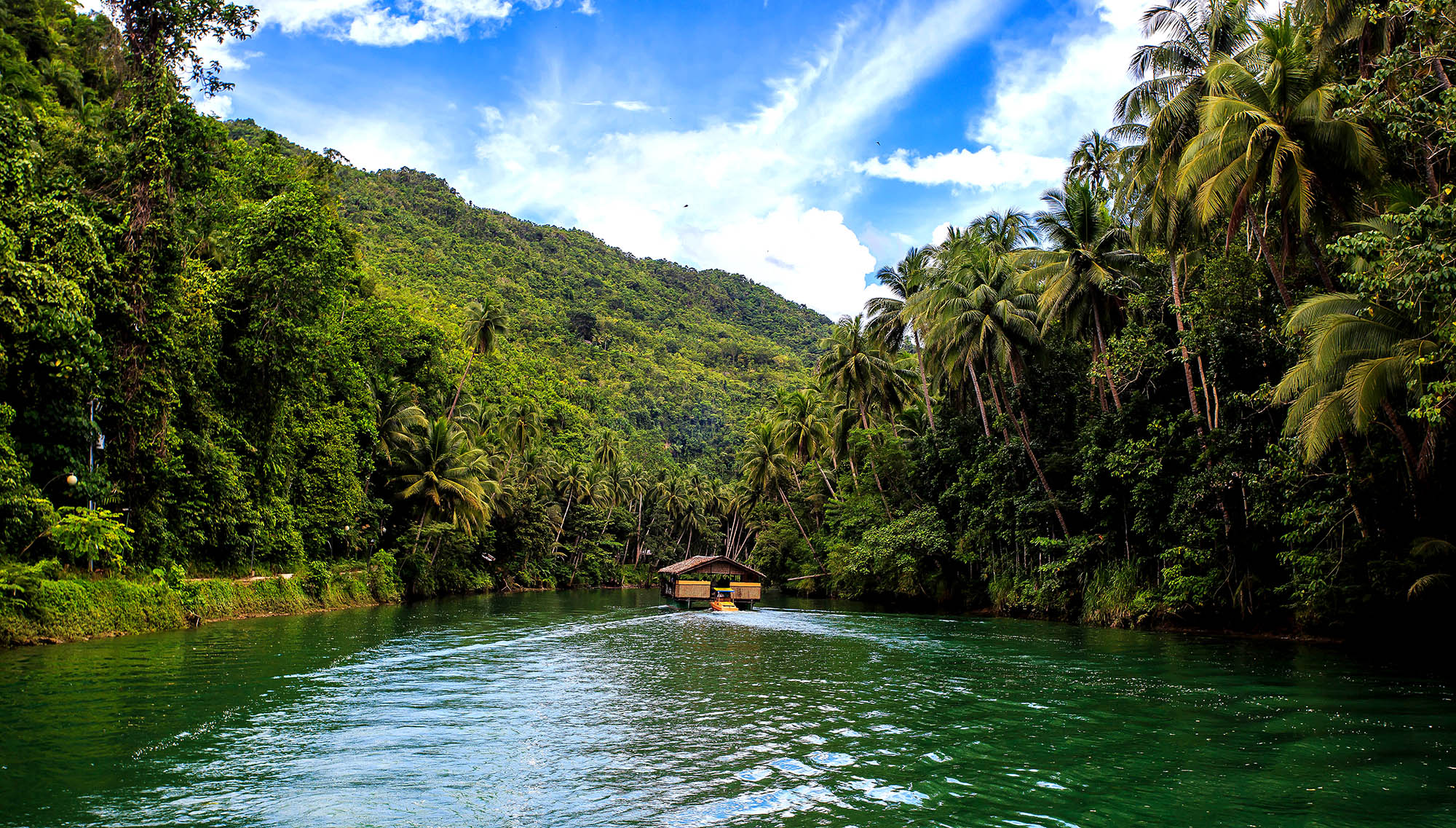 Se masser af grøn bevoksning, jungle og frodige bjerge på rejser til Filippinerne.