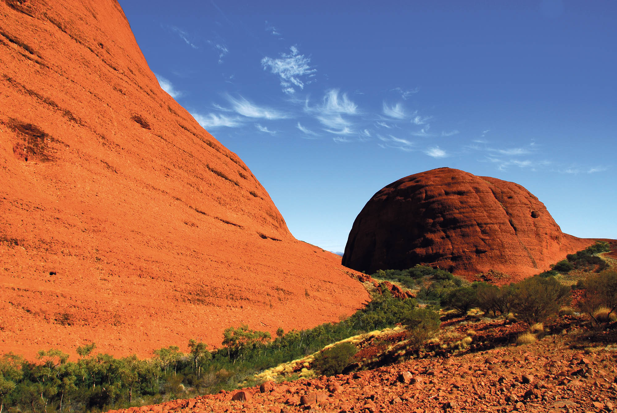 Oplev det røde ørkenlandskab i Red Centre på Northern Territory-rejser.