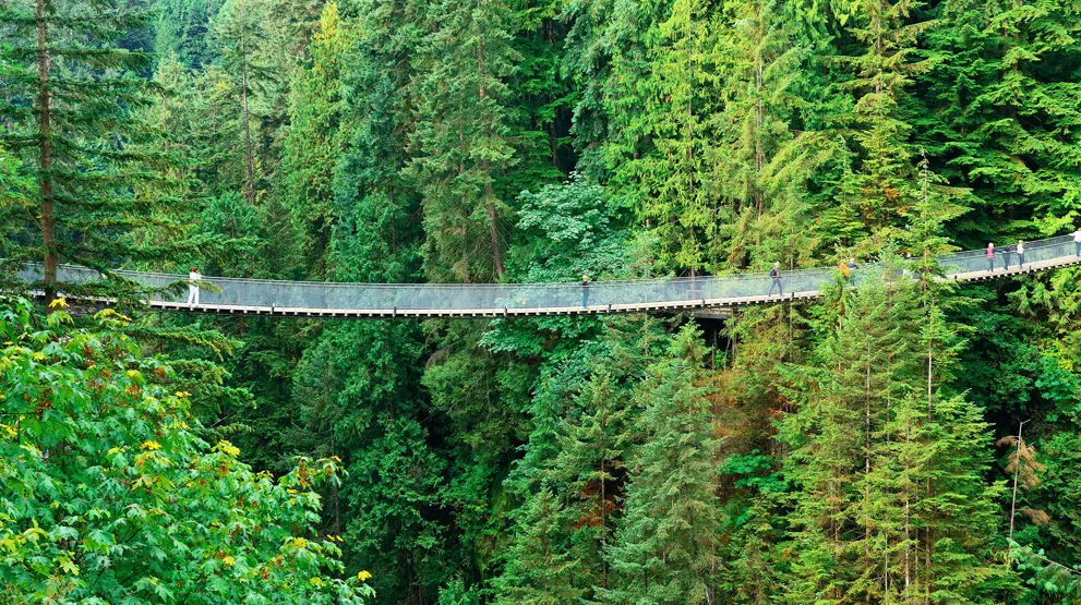 Kryds den 140 meter lange hængebro, Capilano Suspension Bridge.