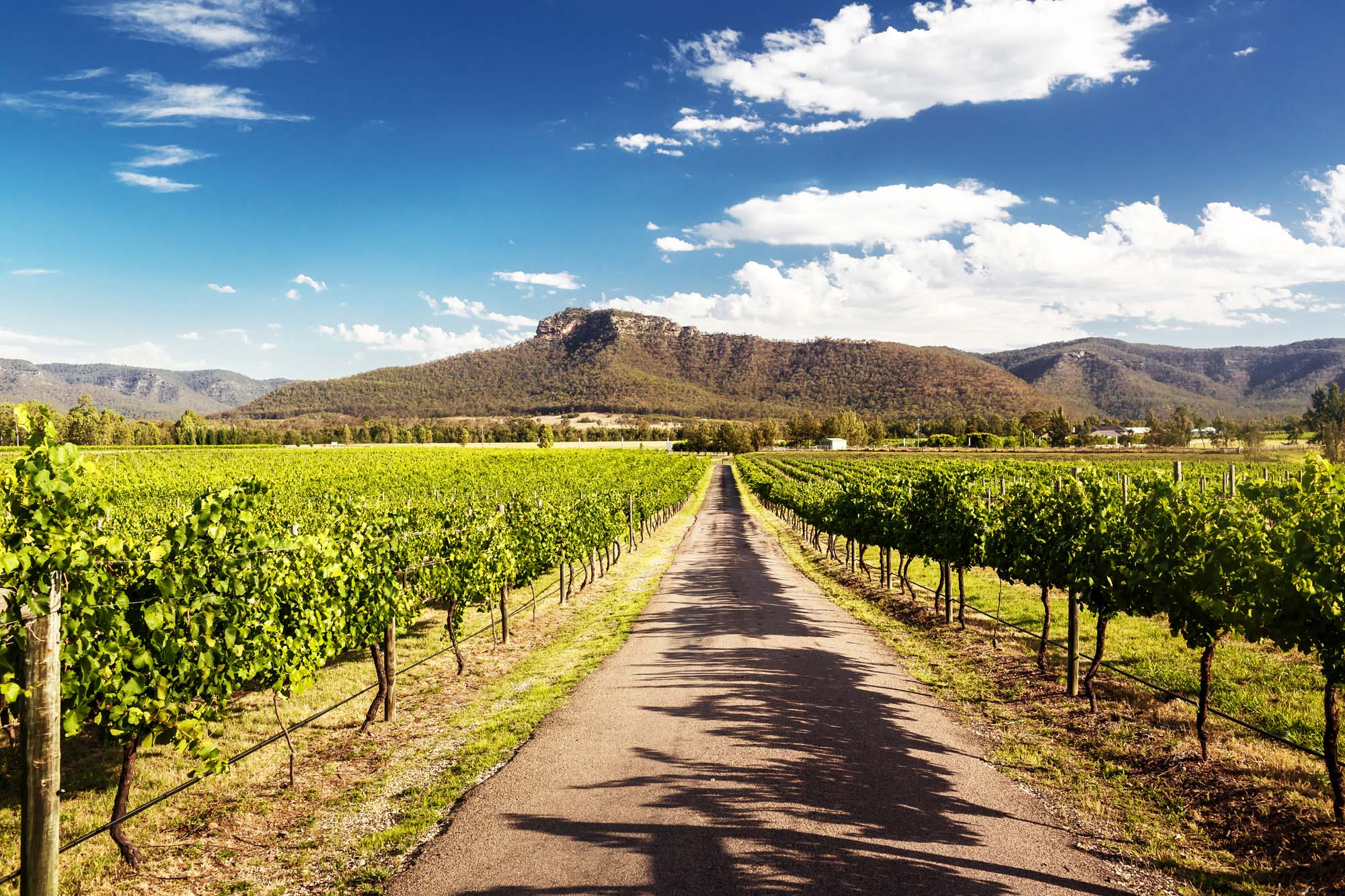 Rejser til Hunter Valley