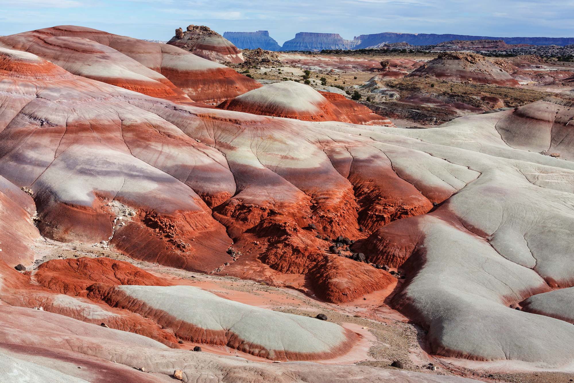 Rejser til Capitol Reef National Park