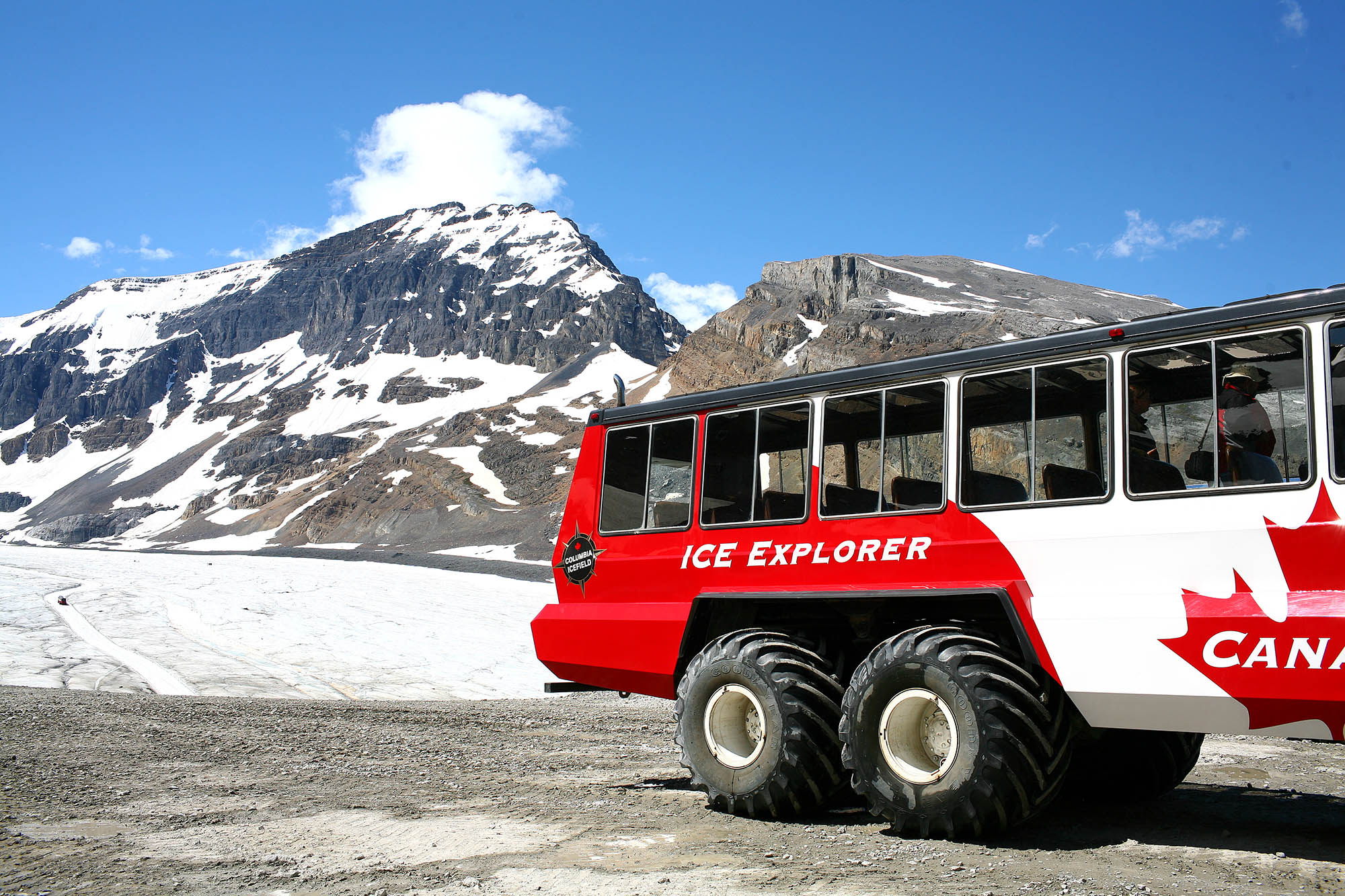 Kom på Ice Explorer-tur ud på det enorme gletjserområde Columbia Icefield.