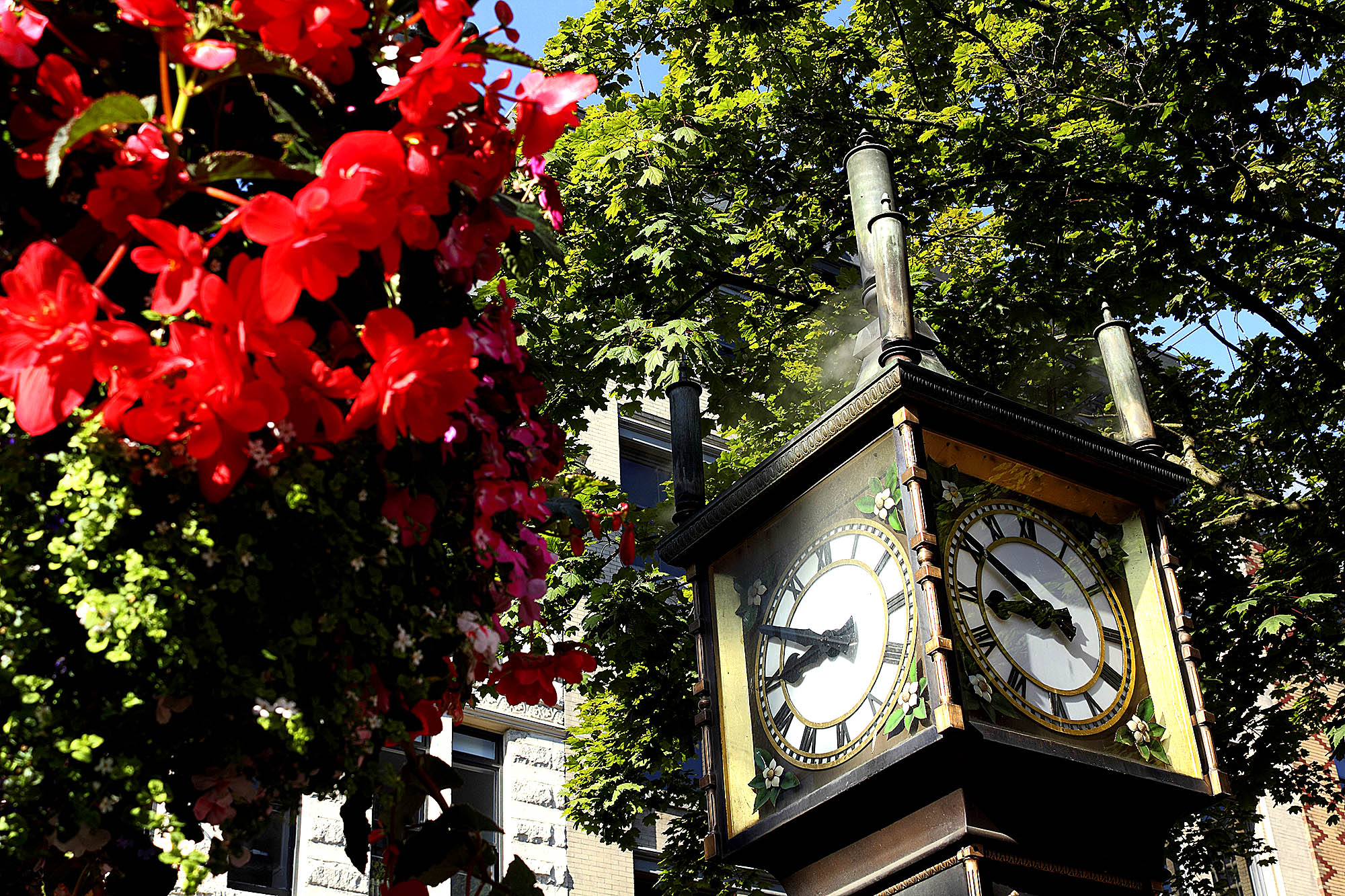 Rejser til Vancouver i British Columbia kalder på mindeværdige oplevelser.