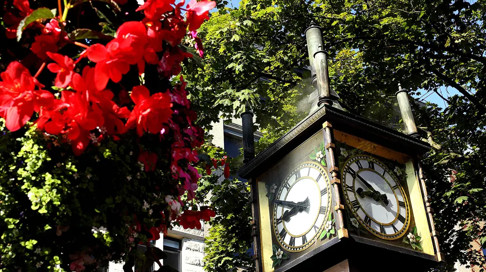 Rejser til Vancouver i British Columbia kalder på mindeværdige oplevelser.