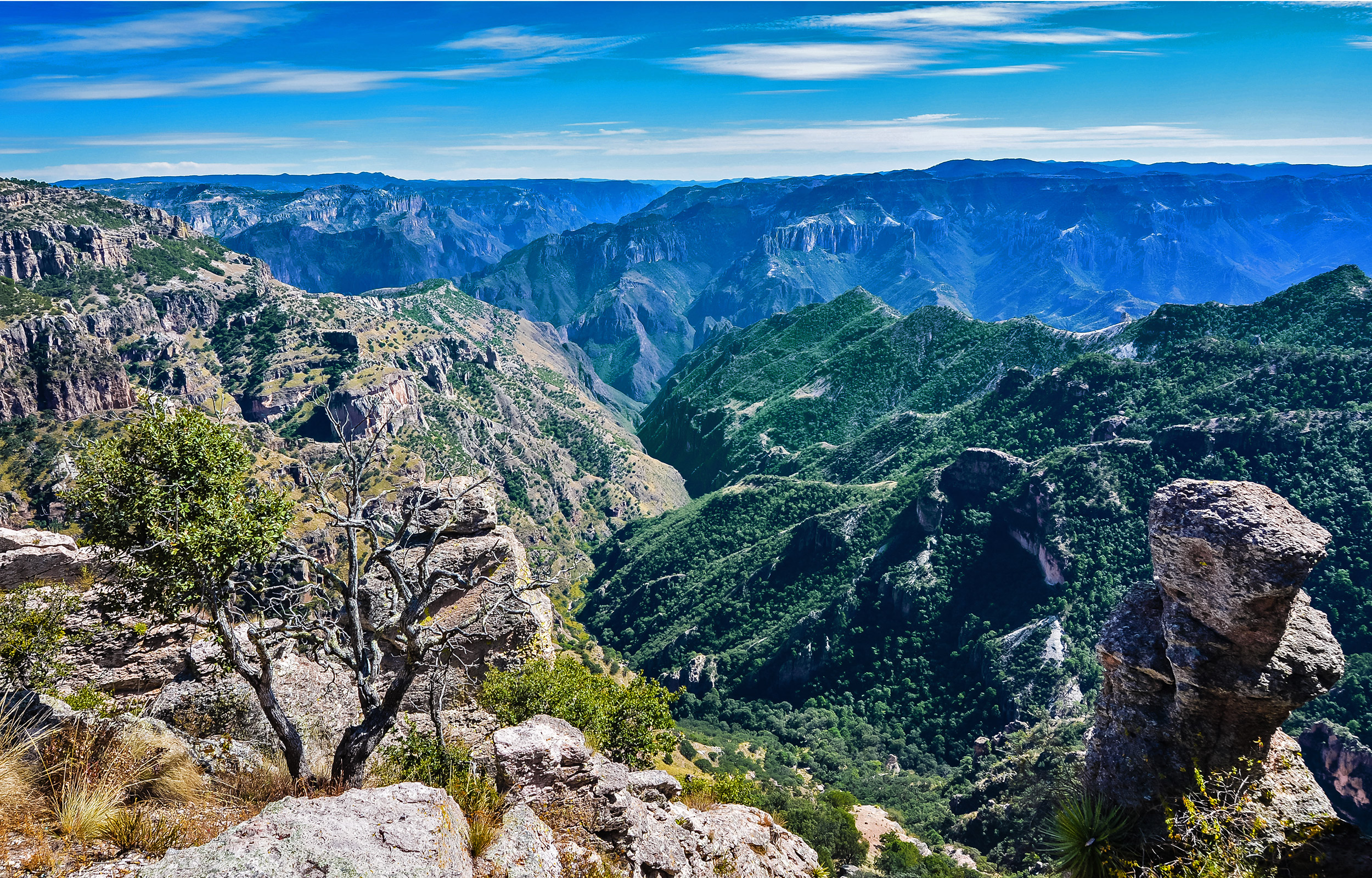 Sierra Madre Occidental byder på nogle af Mexicos smukkeste udsigter