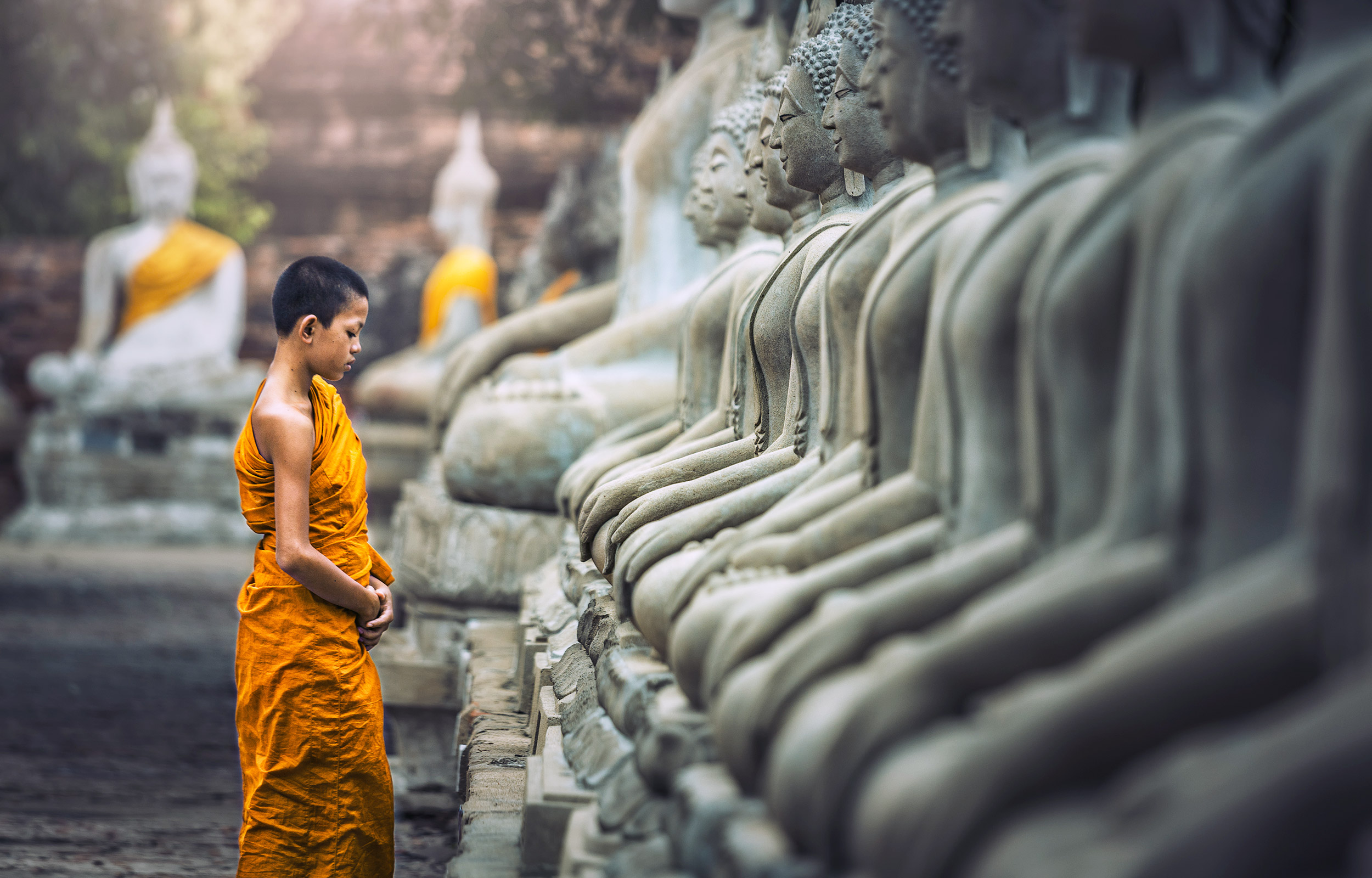 På rejser til Cambodia kan du lære om landets rige historie og kultur.