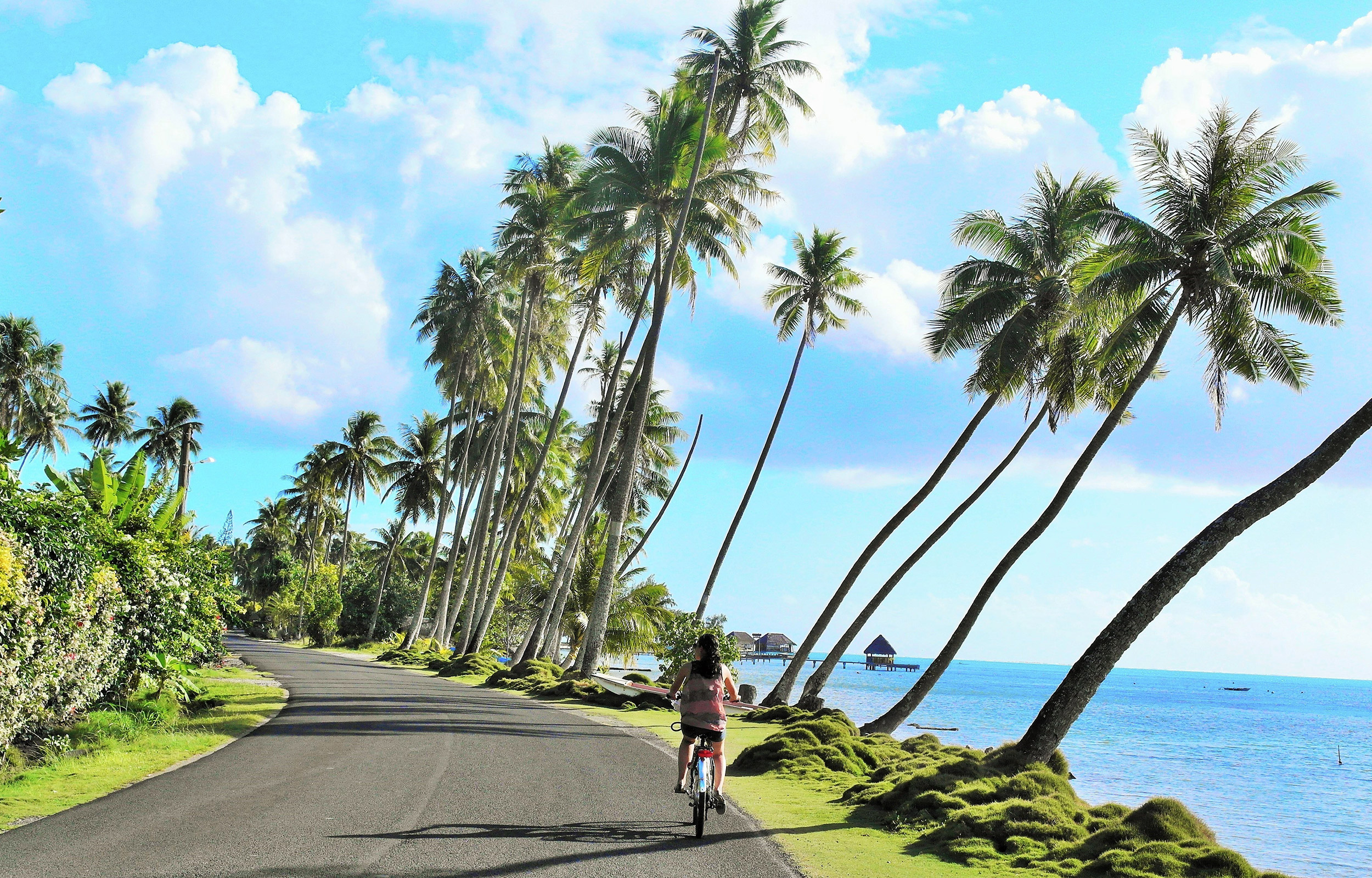 Tag på en cykeltur rundt om den lille ø på din Bora Bora-rejse.