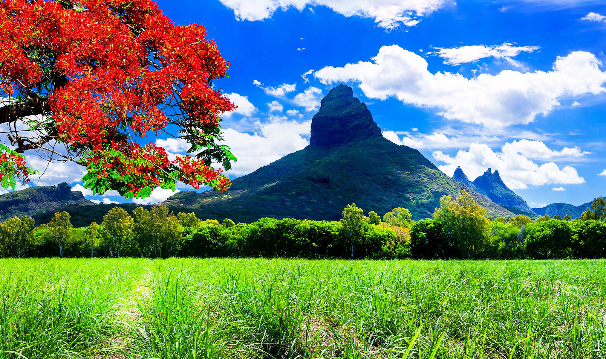 Besøg Mauritius' smukke natur på et krydstogt i Det Indiske Ocean