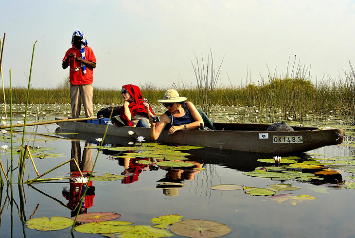 Mokoro bådtur i Okavango-deltaet i Botswana