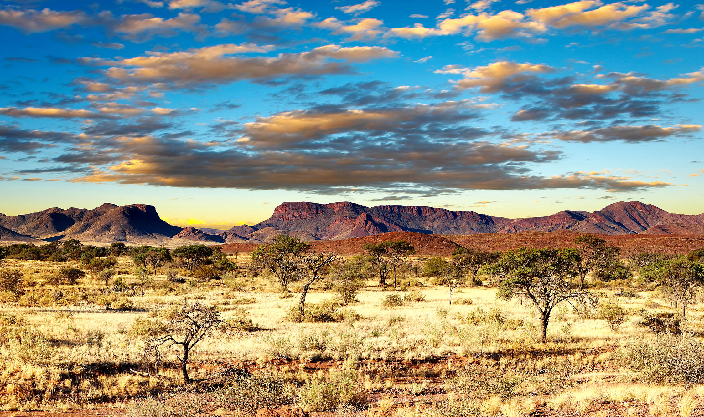 Kør gennem skiftende landskaber i Kalahari-ørkenen