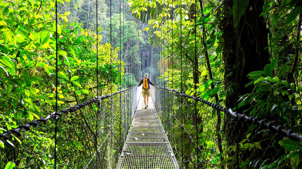 Costa Rica, Puntarenas Rainforest