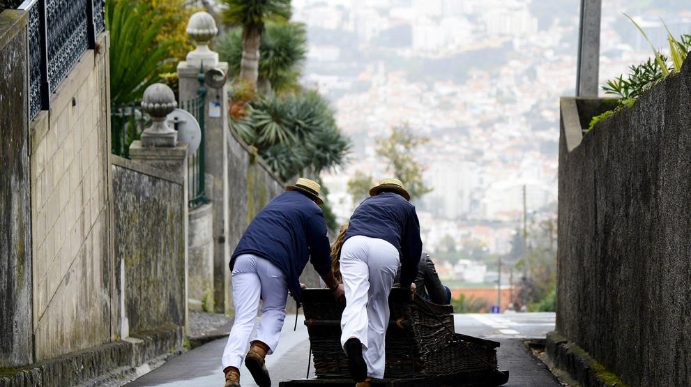 En mavekildrende slædetur i Funchal skal man prøve