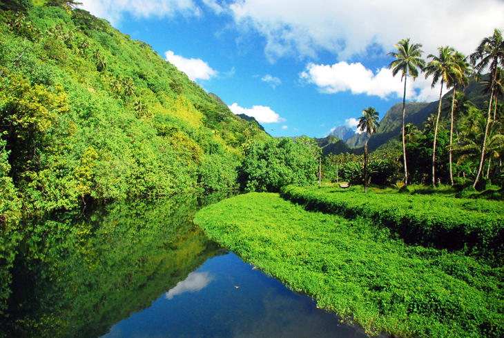 Tahiti byder på frodige, grønne landskaber