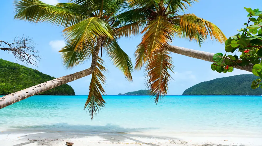 Mao Bay, St. John - Rejser til St. John