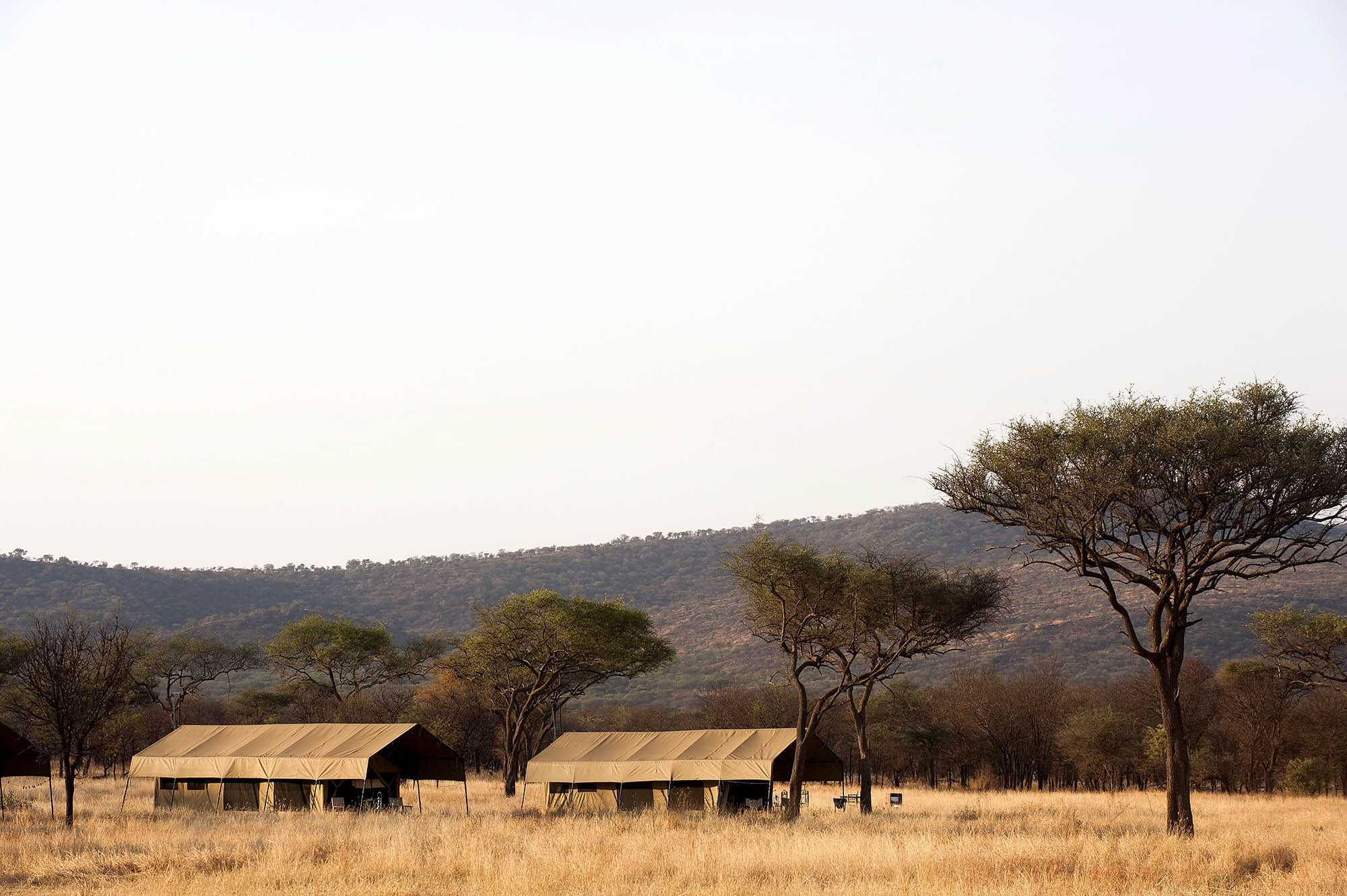 Serengeti Kati Kati TWC 134 CUT Flip