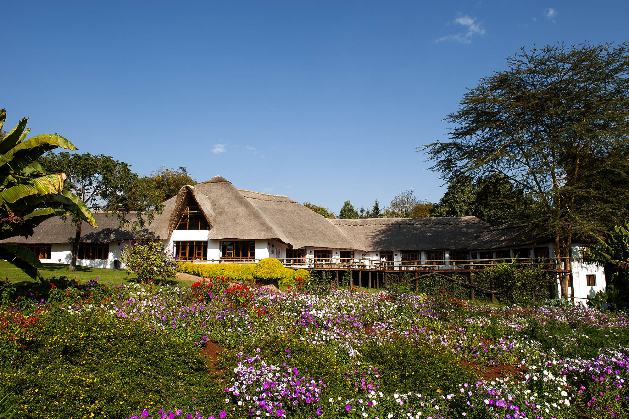 Ngorongoro Farm House, hovedbygningen
