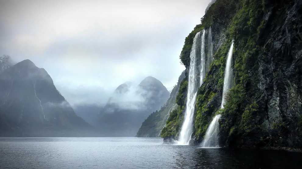 Sejl gennem Fiordland National Park omringet af flotte fjorde på krydstogt i New Zealand