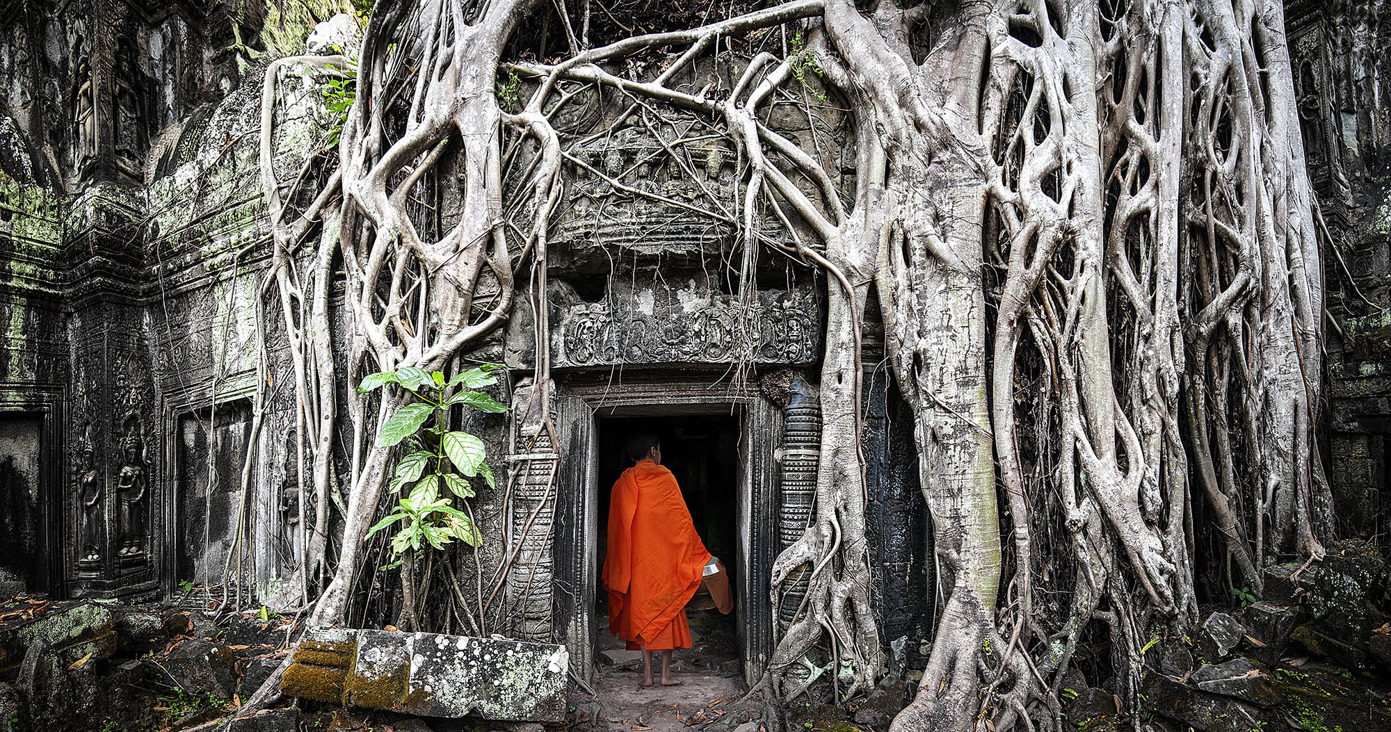 Ta Prohm templet i Cambodja