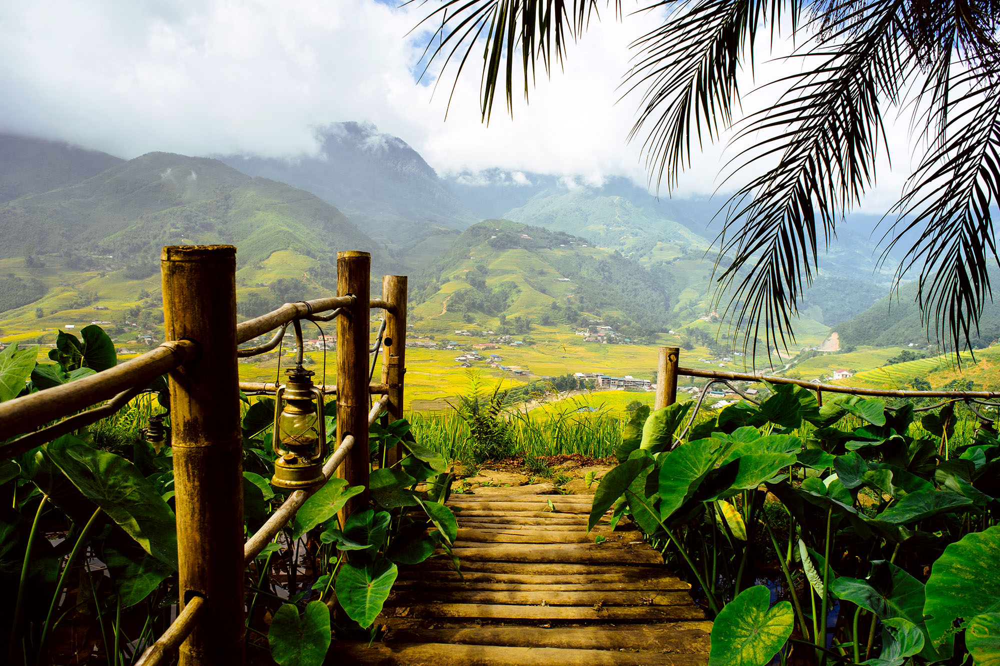 Glæd jer til at se de smukke, grønne risterrasser i Sapa