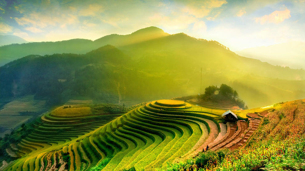 Oplev de smukke rismarker i Sapa - Rejser til Vietnam