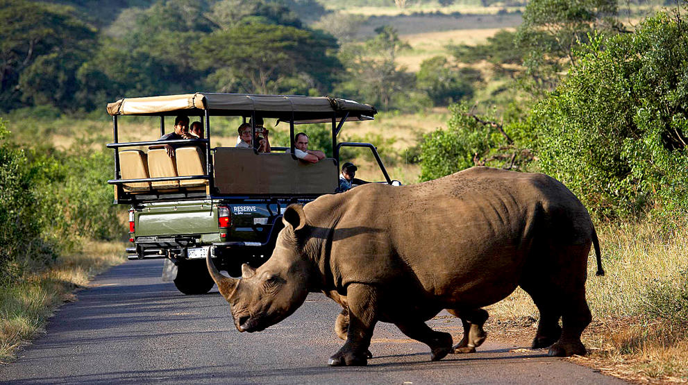 Kombiner jordomrejsen med safari i Afrika