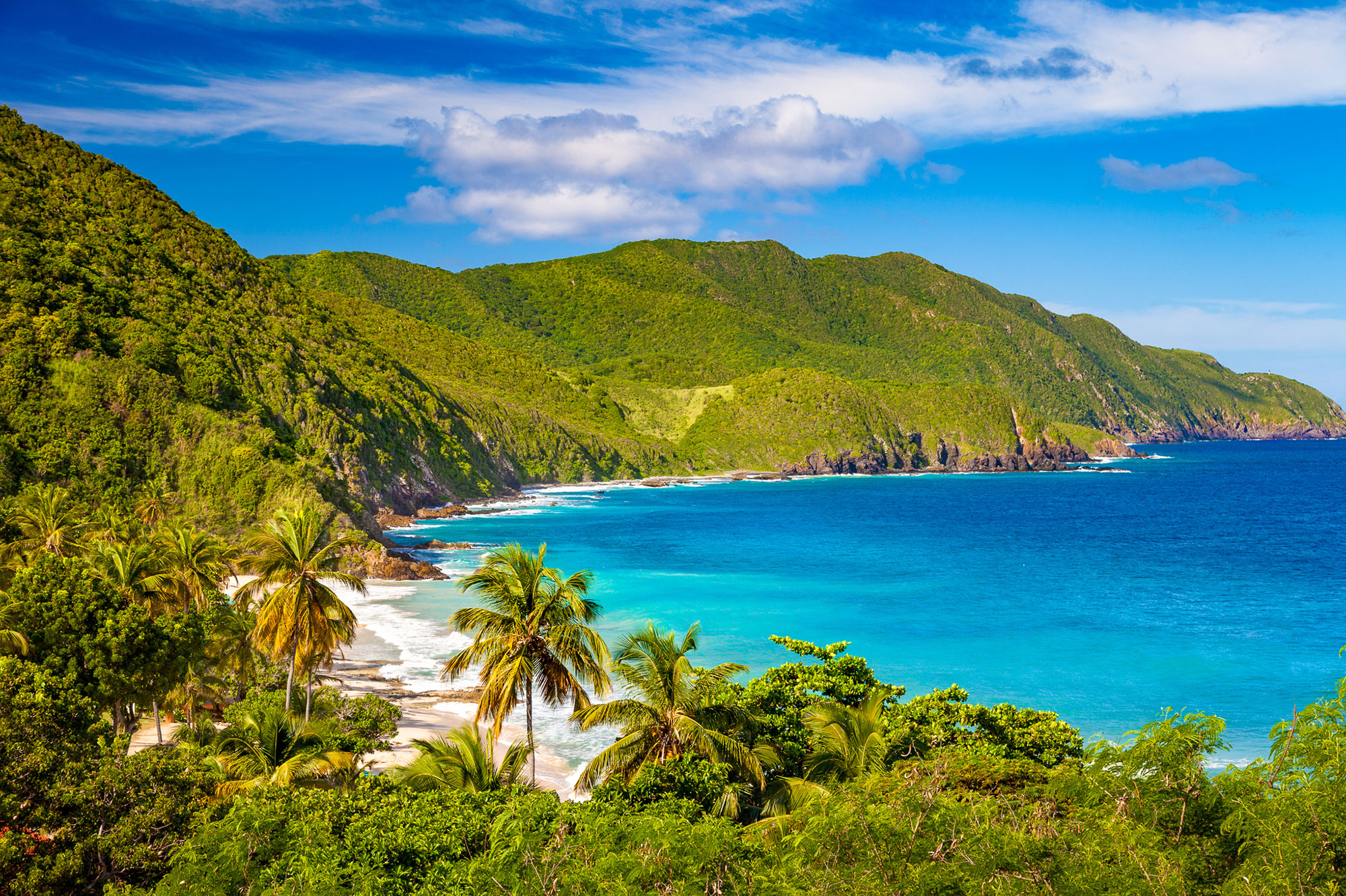 Besøg St. Croix på et krydstogt i det østlige Caribien