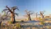 Africa-Botswana-Makgadikgadi-KubuIsland-02