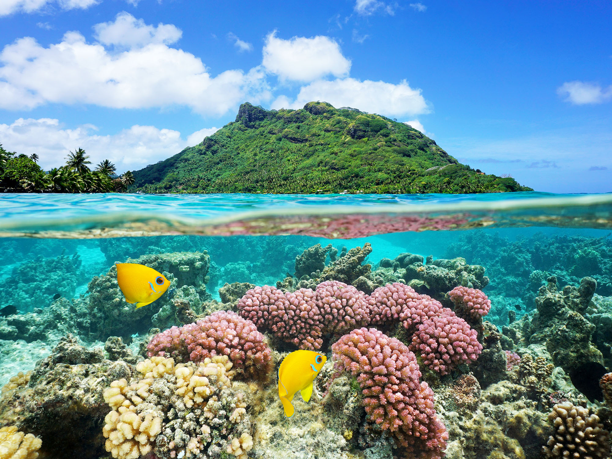 På din rejse til Fransk Polynesien kan du besøge de forskellige øgrupper, her øen Huahine. 
