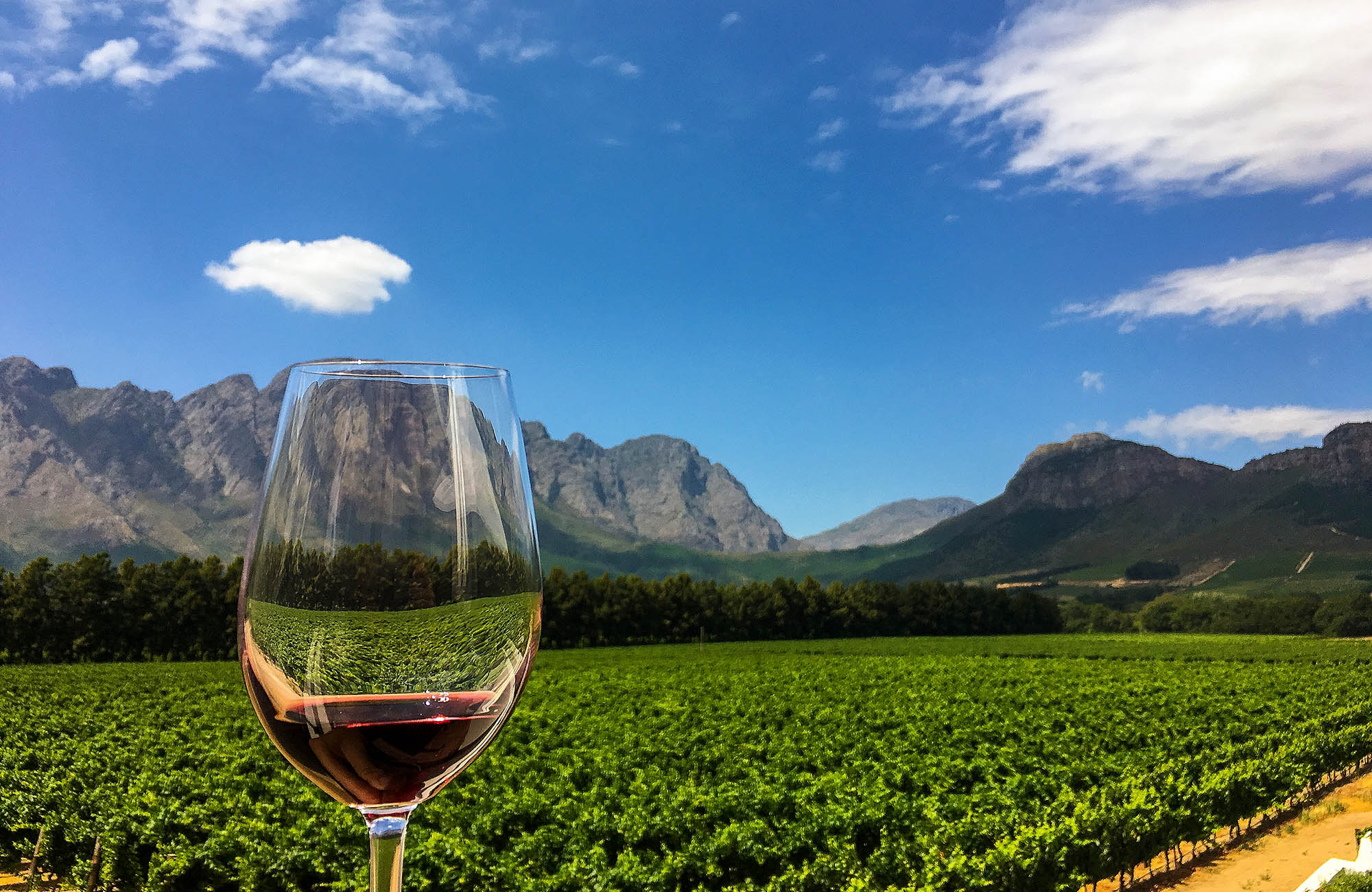 Udflugt til vinlandet med vinsmagninger