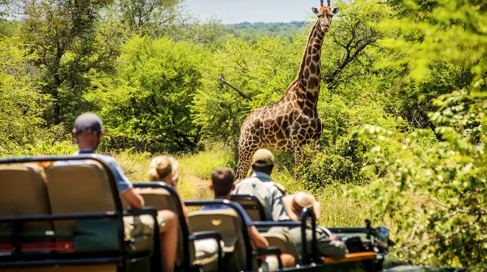 Kom helt tæt på dyrelivet i Karongwe Private Game Reserve