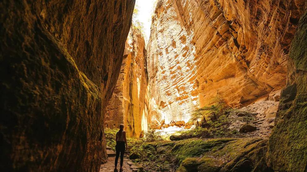 Carnarvon Gorge, en af Queenslands skjulte perler | Foto: Tourism and Events Queensland