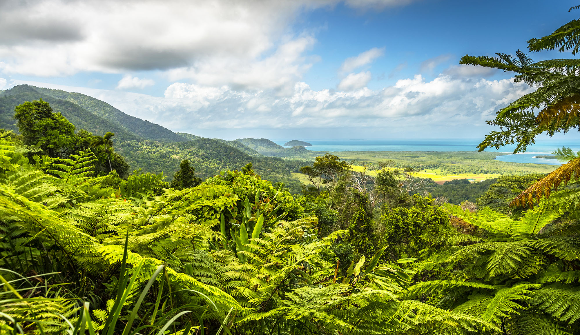 Se højdepunkter som Daintree Rainforest på en rejse til Queensland.